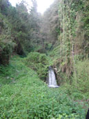 Rio Stefano